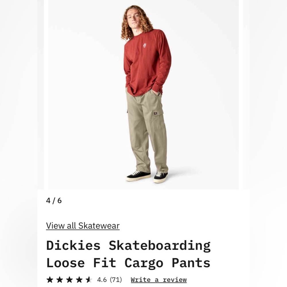 Dickies NWT Loose Fit Cargo Pants